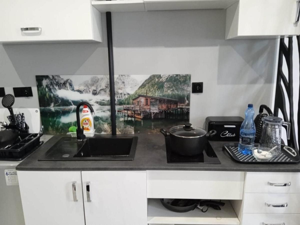 Komfortowy Apartament U Baltazara Душники-Здруй Экстерьер фото